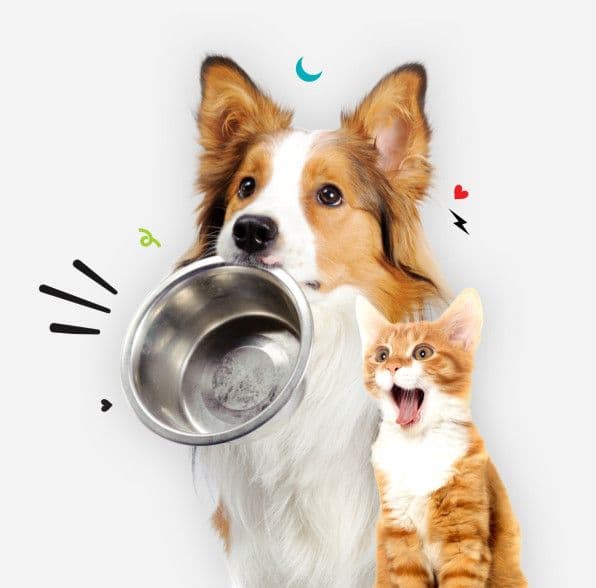 Pet Food For Dogs & Cats
