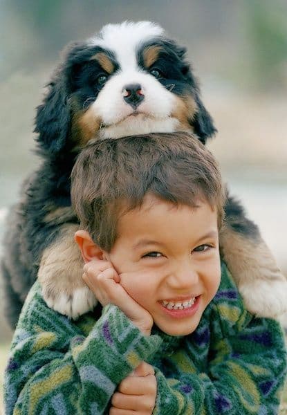 Pampered Pet Care