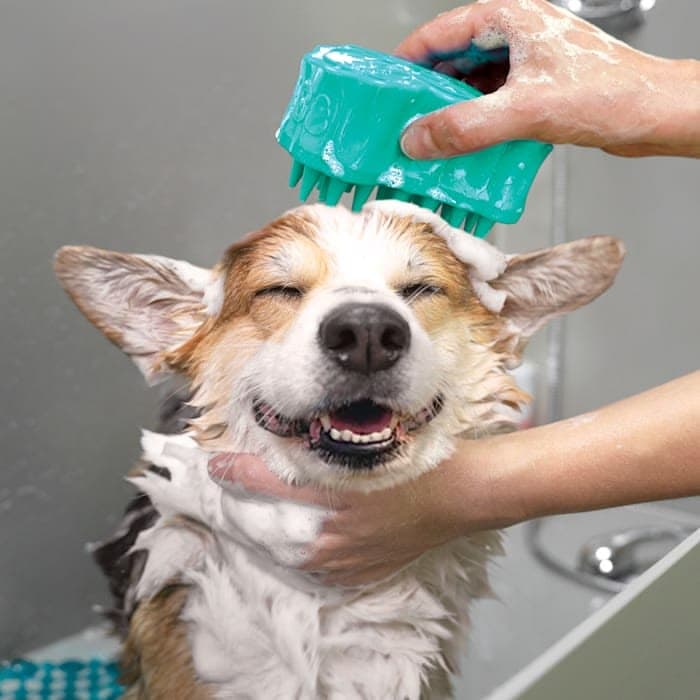 Pet Shampoo Brush