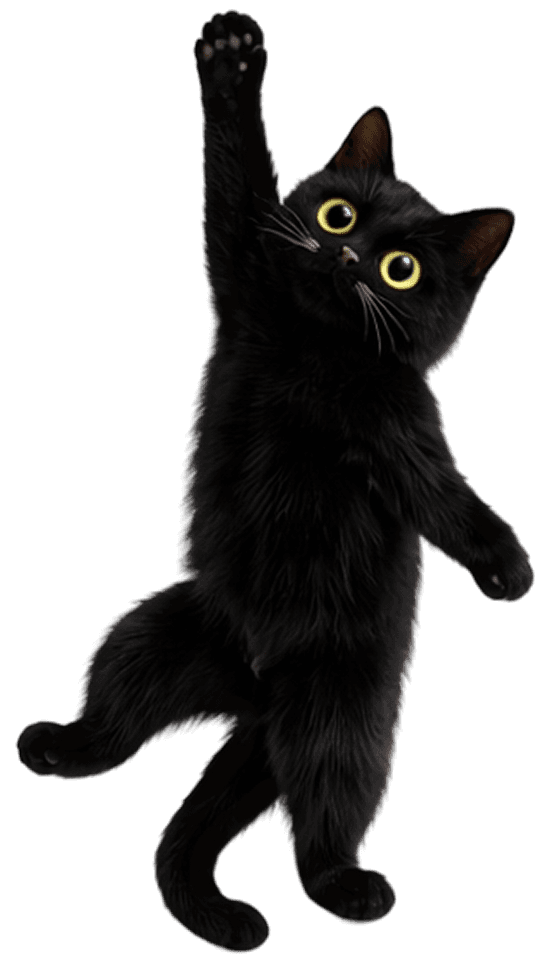cat decoration