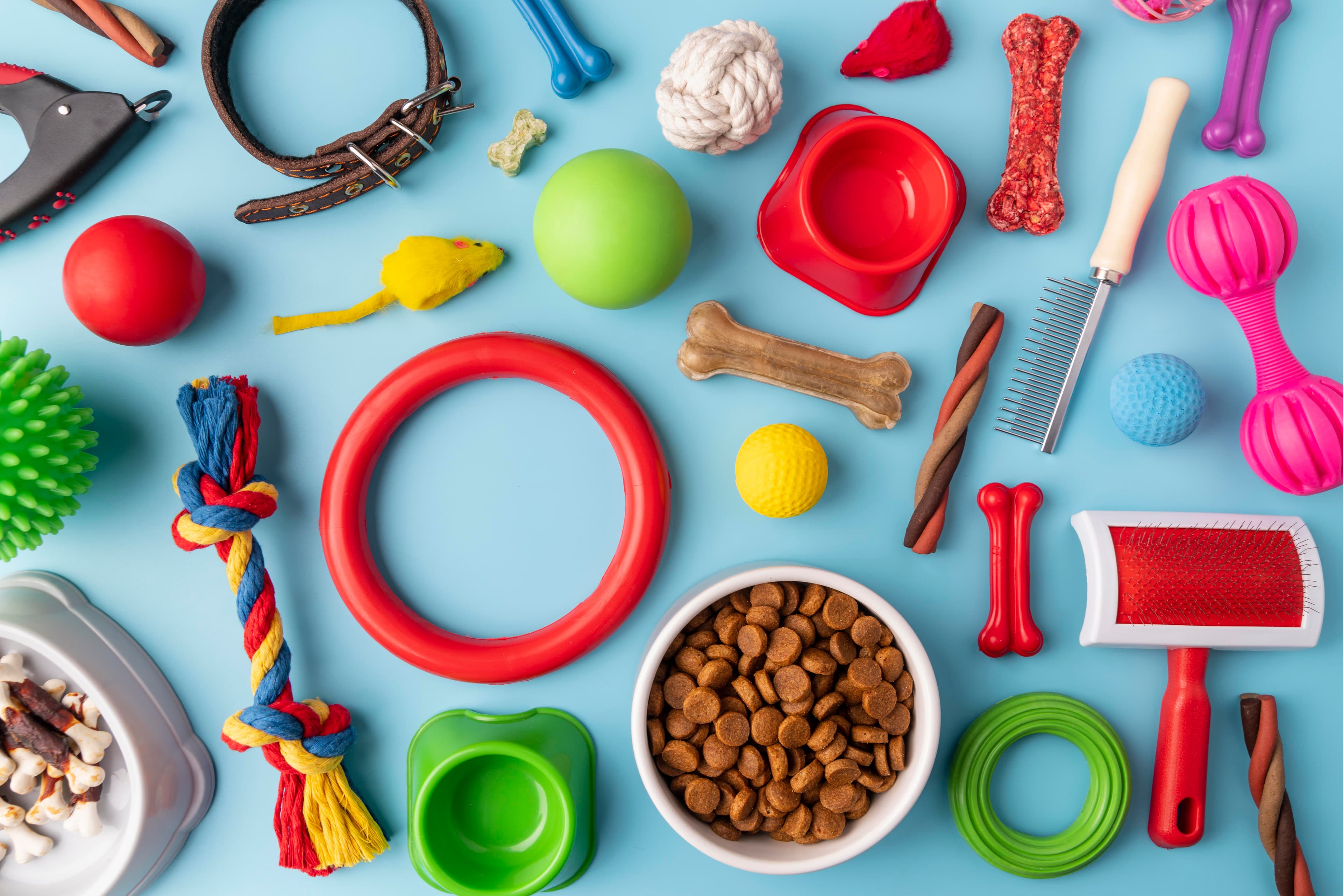 Pet Accessories Set