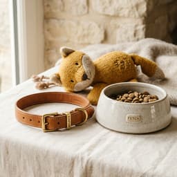 Toy & Accessories
