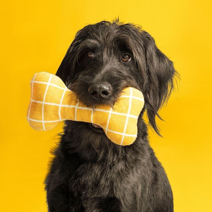 Soft Plush Dog Toy