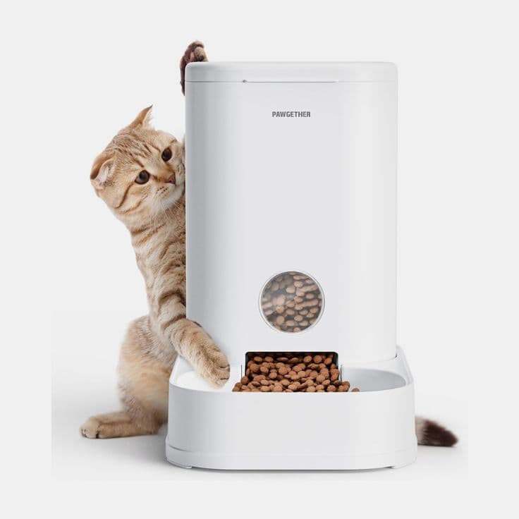 Automatic Gravity Pet Feeder