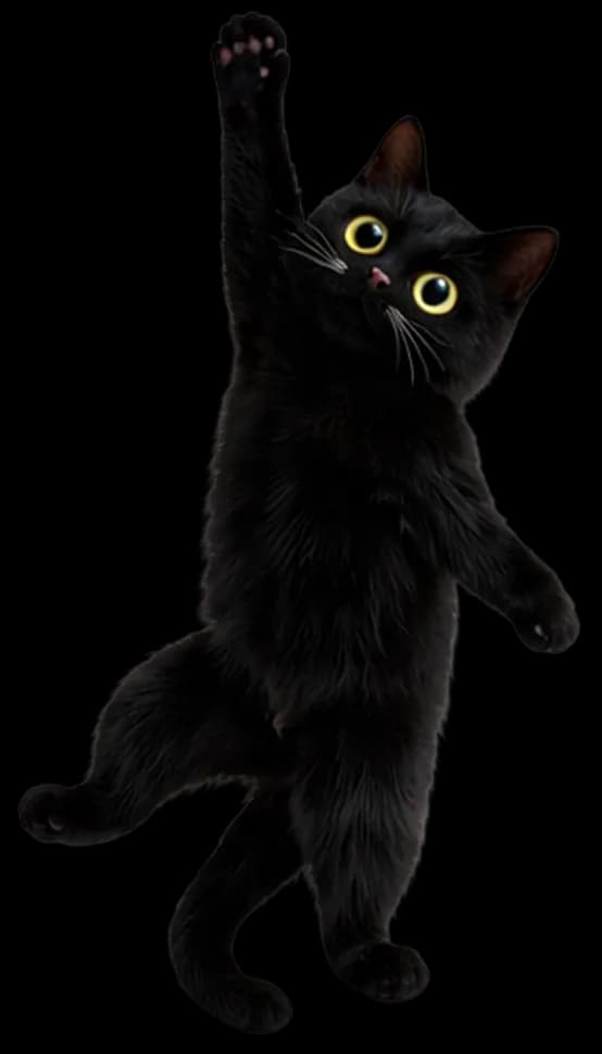 cat decoration